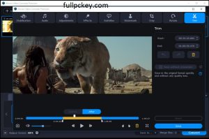 Movavi Video Converter 23 Video For Windows