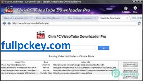 YTD Video Downloader Pro 5.9.7.4 final + key