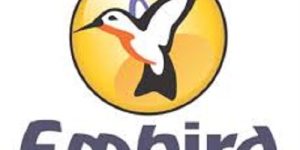 Embird 10.8 Crack + Free Download
